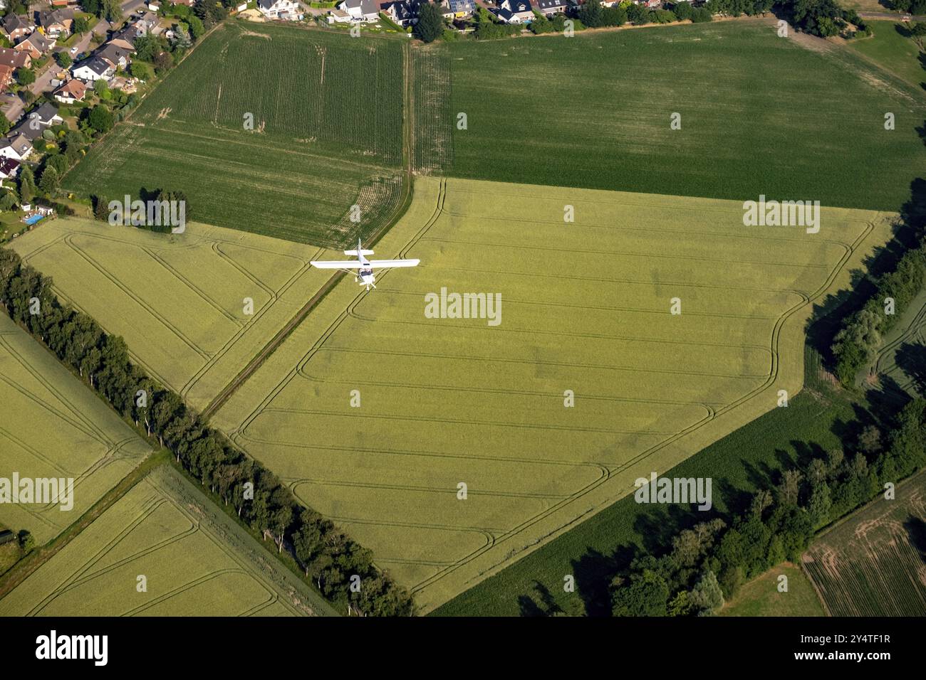 Petit avion au-dessus de champs verts. Avion de sport Banque D'Images