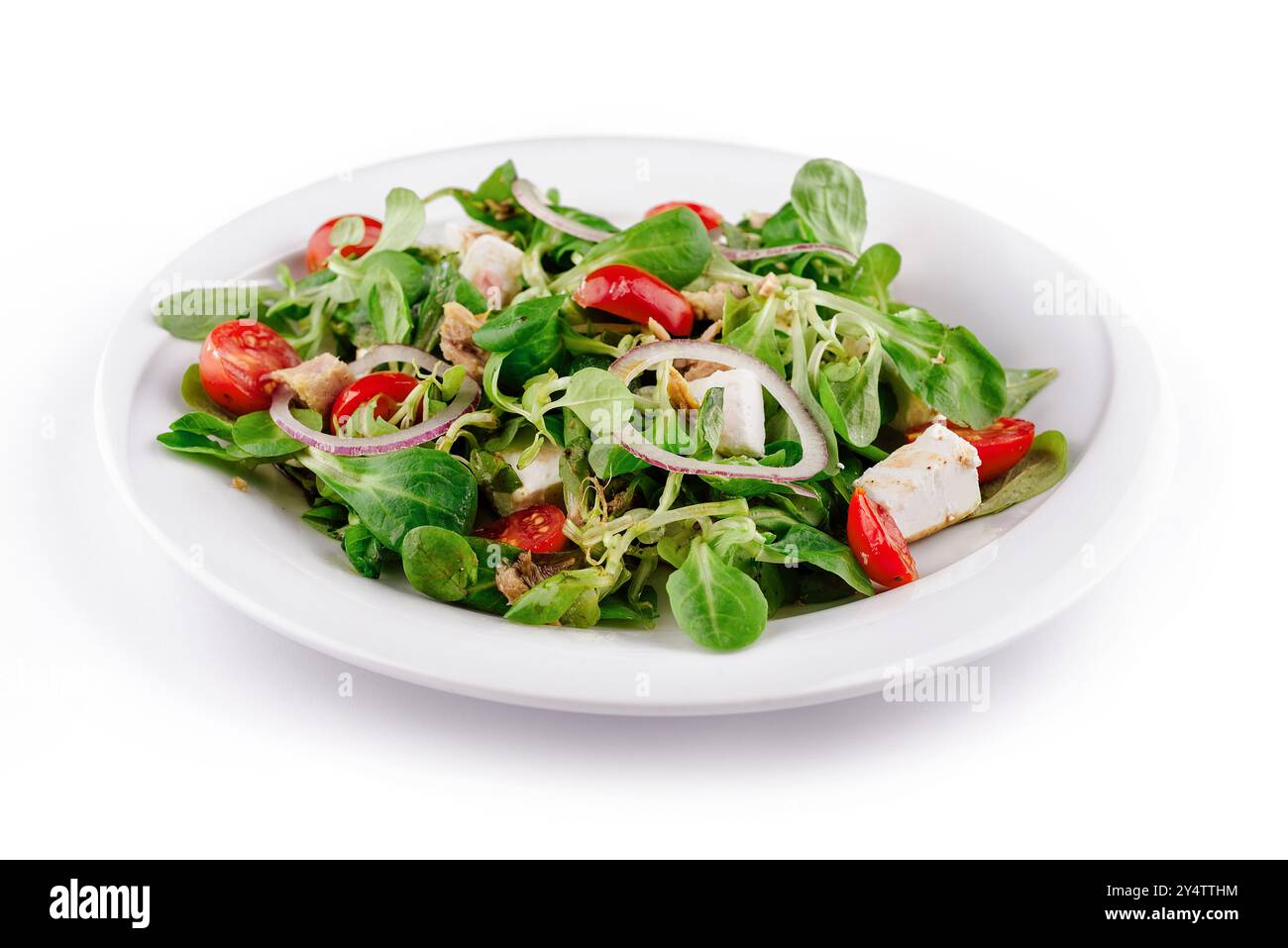 Salade de thon fraîche et saine servie sur assiette blanche, avec laitue, tomates, fromage feta et oignons rouges Banque D'Images