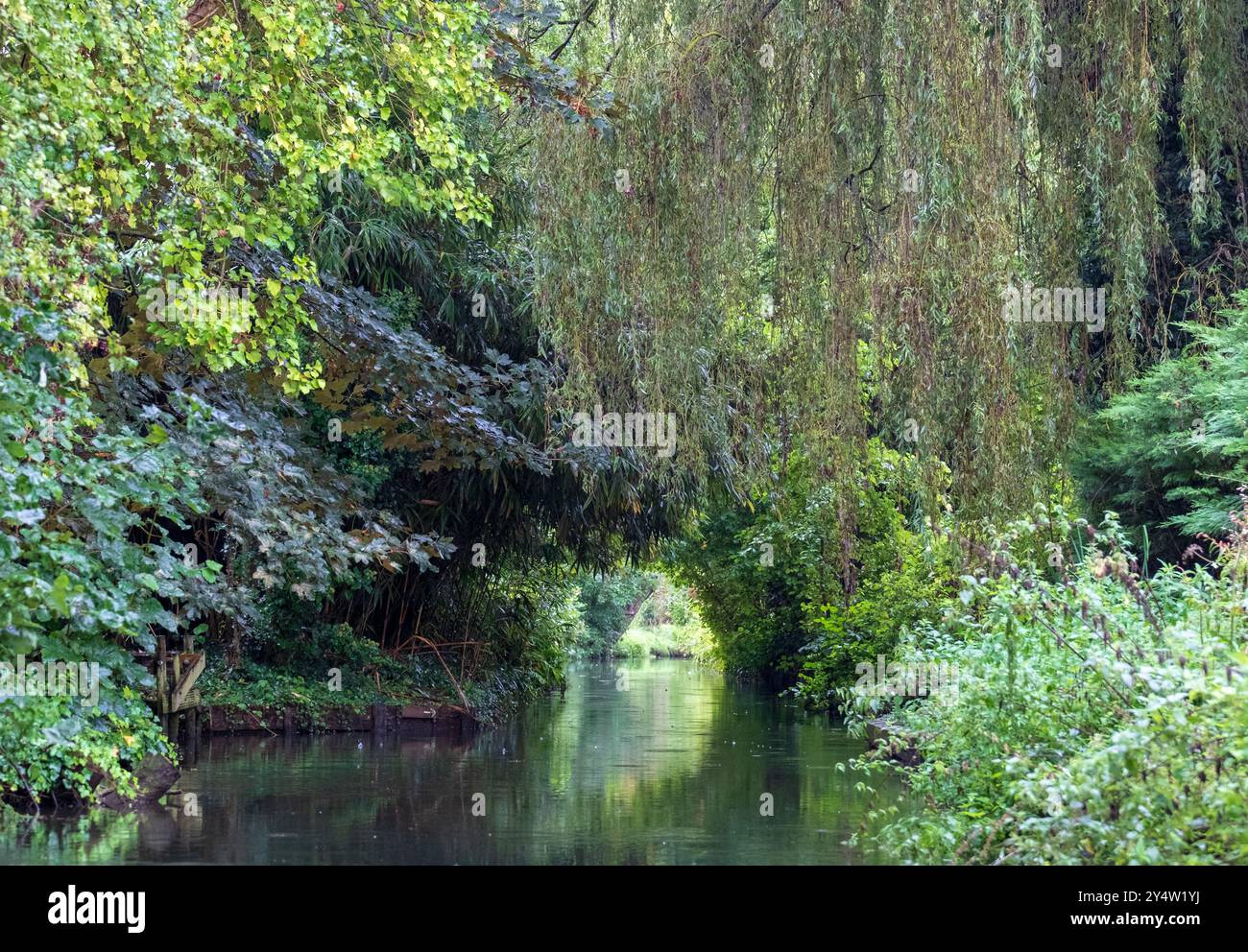 Jardins des Hortillonnages, Amiens, France, qui se composent de nombreuses petites îles cultivées sur les rives de la somme, entourées d'eau. Banque D'Images