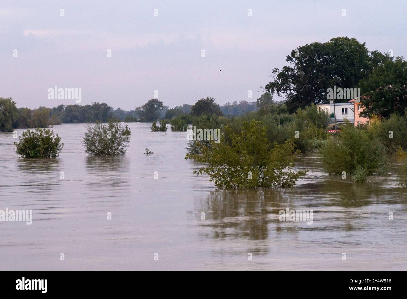 La rivière a débordé à la suite de l'inondation. Olawa se prépare à une vague d'inondation sur les rivières causée par les fortes pluies dans cette partie de l'Europe. Depuis plusieurs jours, des inondations puissantes et destructrices ont balayé le sud de la Pologne, dévastant des villages et des villes entières. En Pologne, 7 personnes sont déjà mortes des suites des inondations, et les dégâts sont immenses. Beaucoup de gens ont été laissés sans maison, ayant perdu les biens de leur vie. En réponse, une mobilisation nationale a commencé en Pologne, avec l'aide non seulement des militaires mais aussi des civils. Certains remplissent sa Banque D'Images