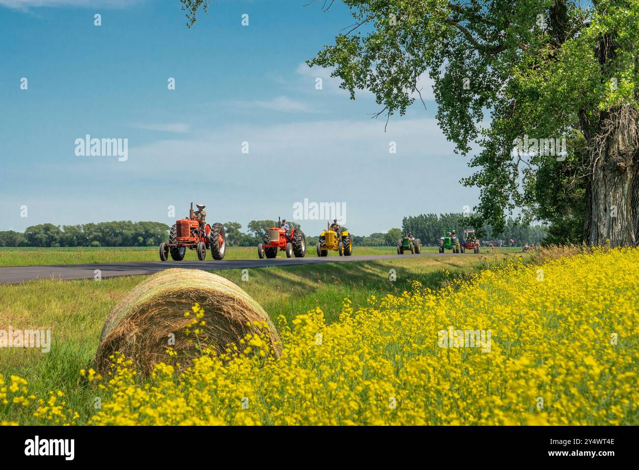 Tracteurs agricoles anciens avec des champs de canola en fleurs au Tractor Trek annuel de la Fondation Eden près de Winkler, Manitoba, Canada. Banque D'Images