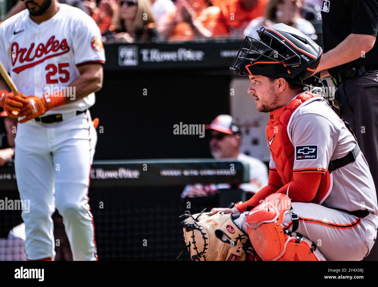 Baltimore, États-Unis. 19 septembre 2024. BALTIMORE, Maryland - 19 SEPTEMBRE : Patrick Bailey (14 ans), le catcheur des Giants de San Francisco, au début de la manche lors d'un match MLB entre les Orioles de Baltimore et les Giants de San Francisco, le 19 septembre 2024 à Orioles Park à Camden Yards, à Baltimore, dans le Maryland. (Photo de Tony Quinn/SipaUSA) crédit : Sipa USA/Alamy Live News Banque D'Images