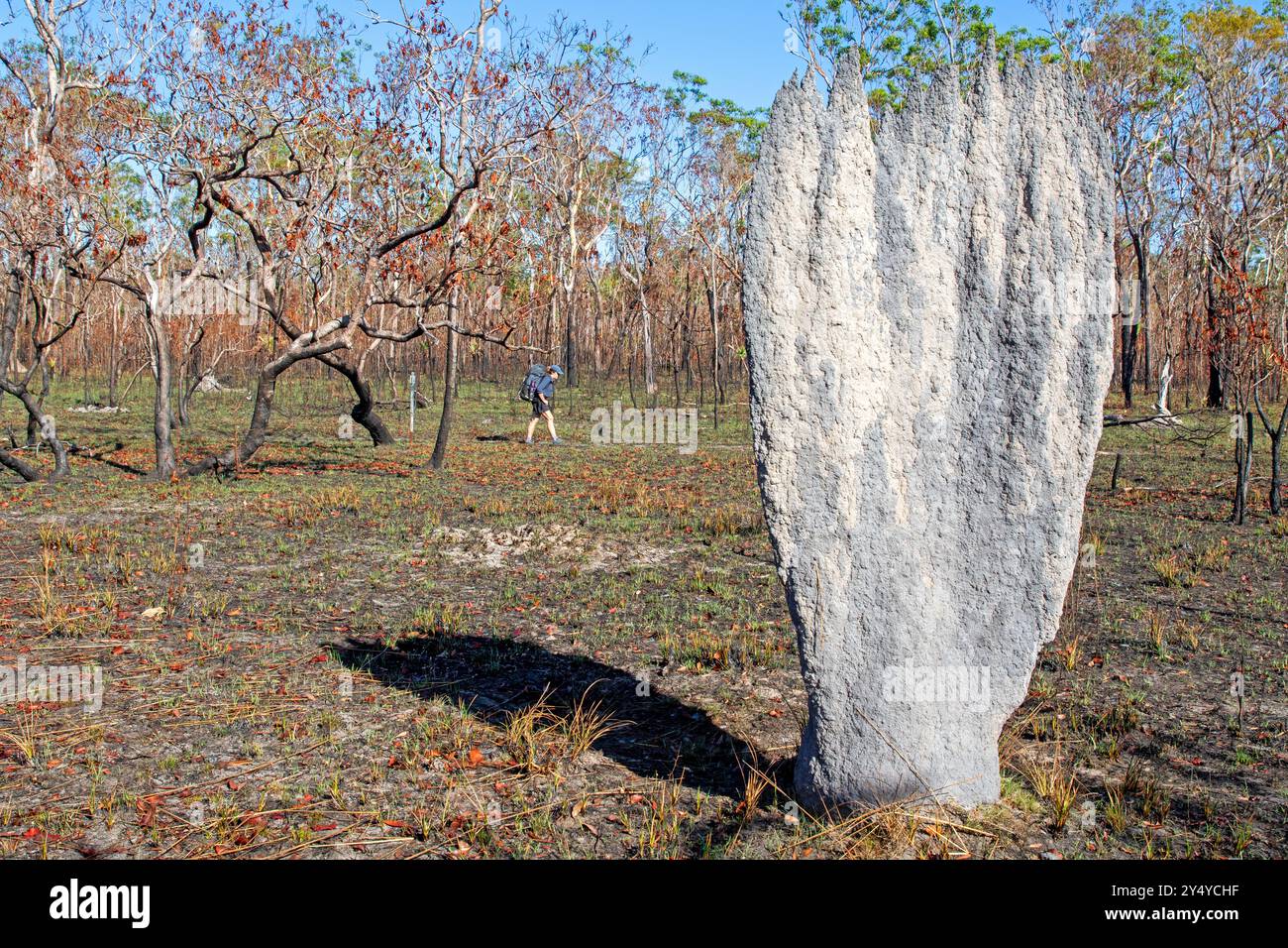 Randonneur passant un termithe magnétique sur la piste de table Banque D'Images