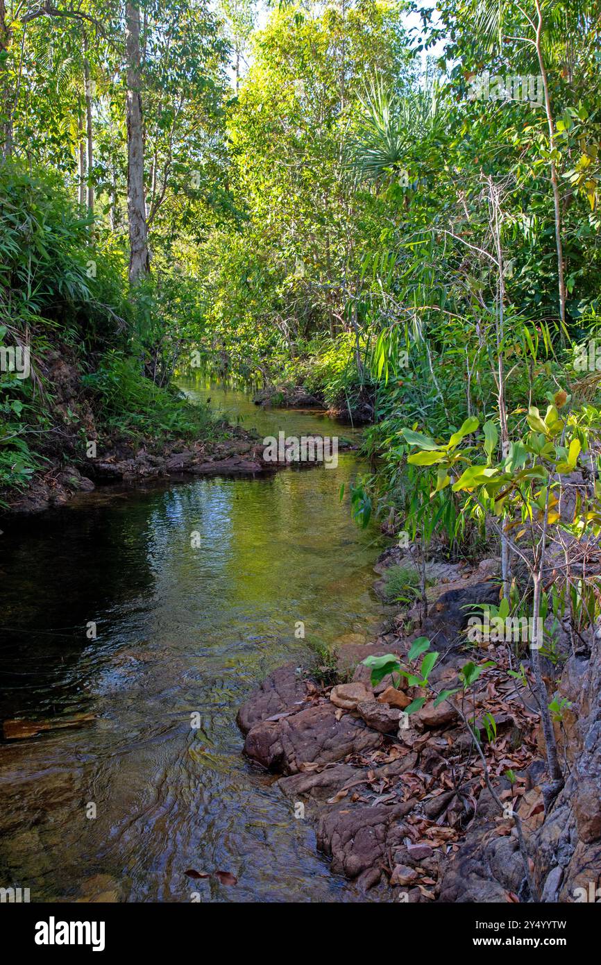 Walker Creek, parc national de Litchfield Banque D'Images
