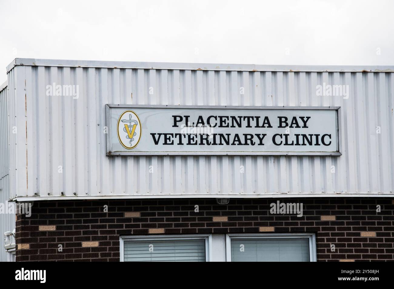 Placentia Bay Veterinary Clinic signe sur NL 100 à Dunville, Placentia, Terre-Neuve-et-Labrador, Canada Banque D'Images