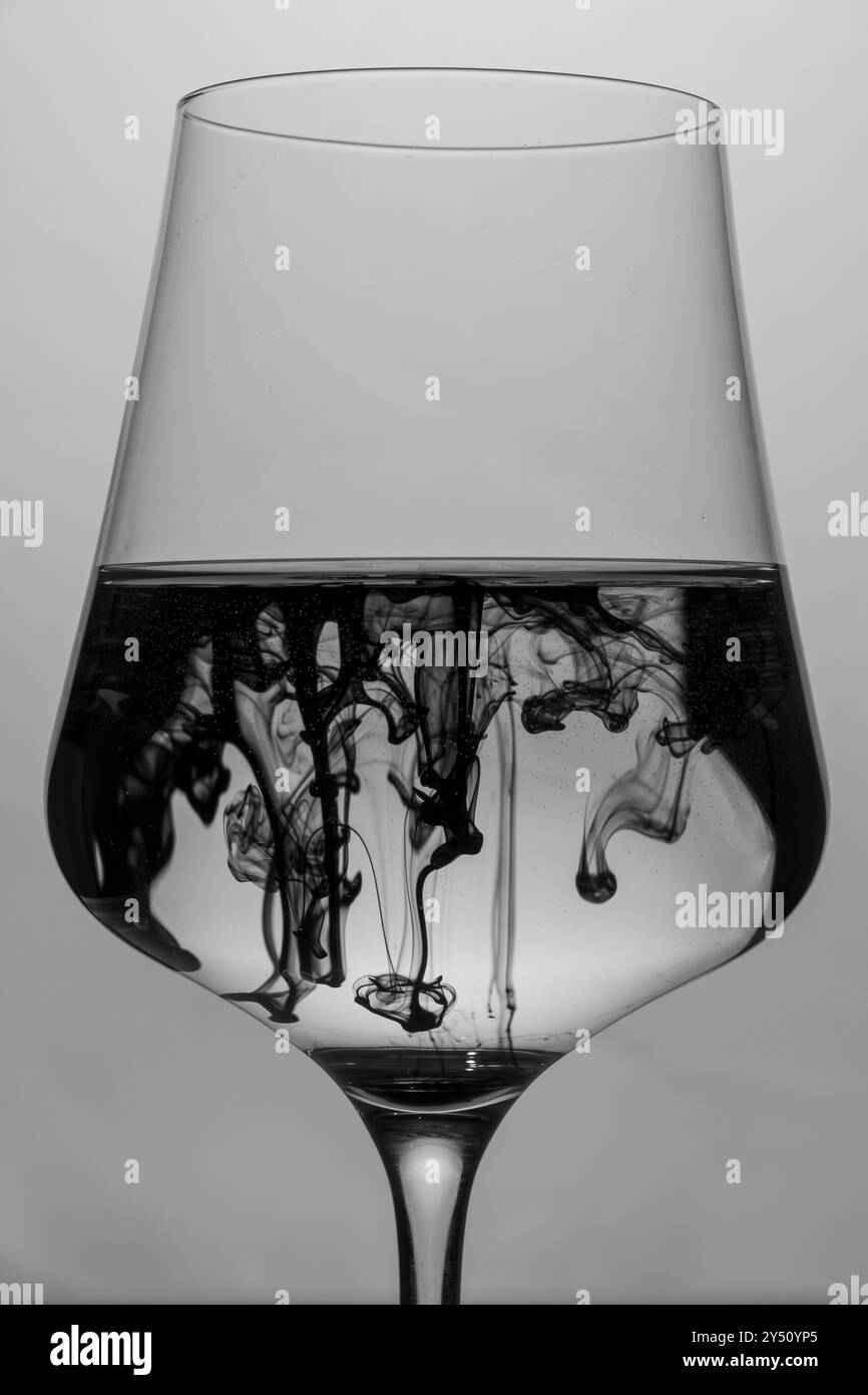 Une composition en noir et blanc avec un verre à vin, aux lignes élégantes et simples. Banque D'Images