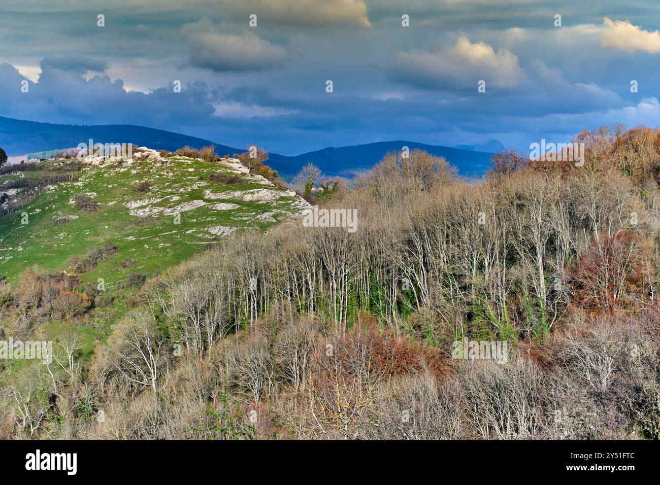 Un paysage pittoresque avec des collines verdoyantes et une forêt de hêtres sous un ciel nuageux spectaculaire. Banque D'Images