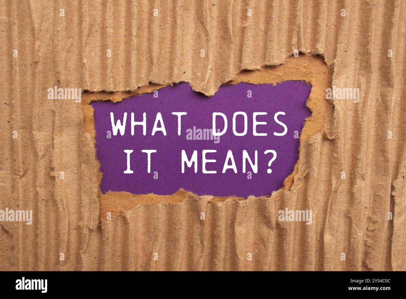 Qu'est-ce que cela signifie question écrite sur papier de carton déchiré déchiré sur fond violet. Conceptuel qu'est-ce que cela signifie symbole de question. Copier l'espace. Banque D'Images