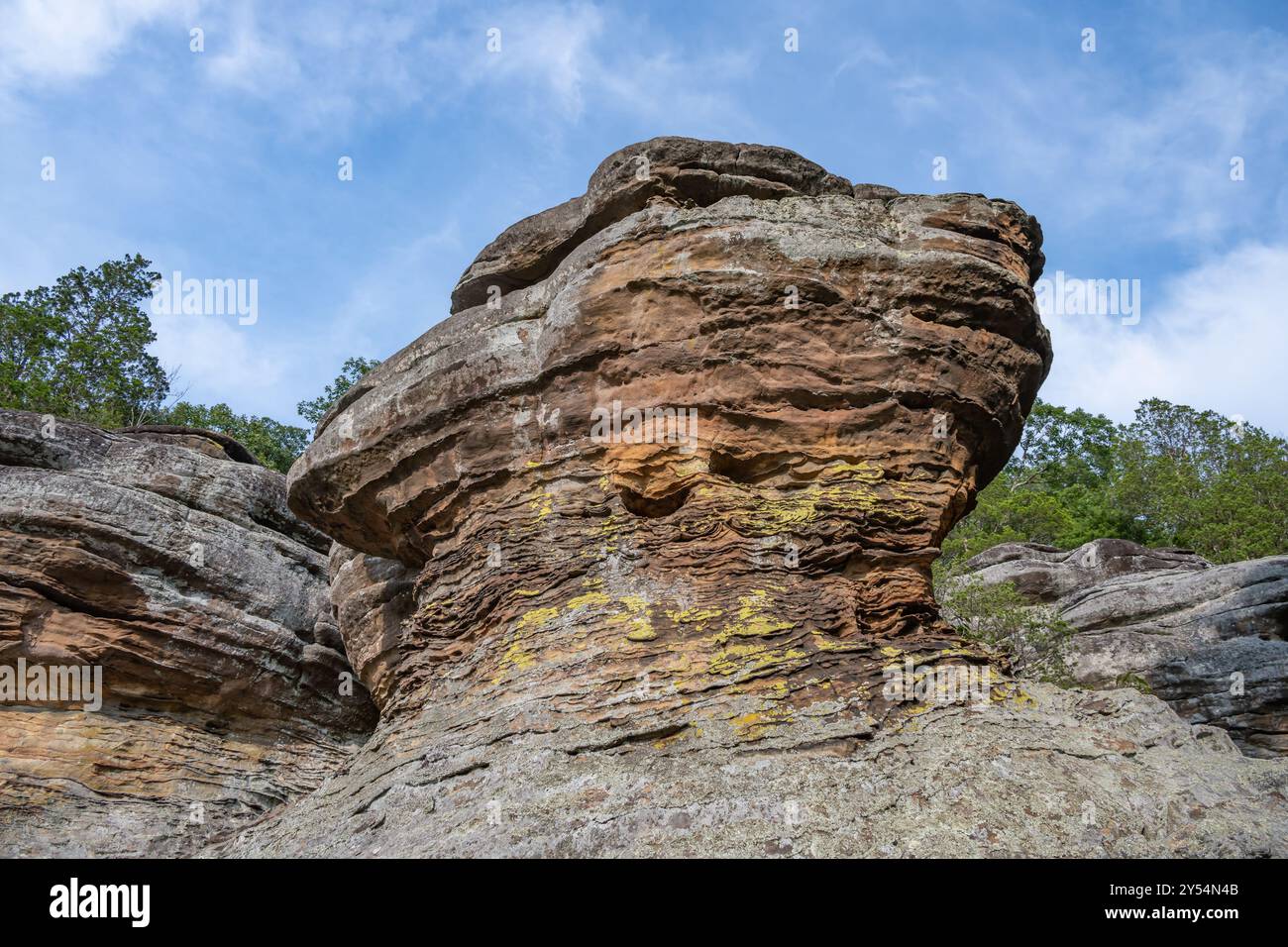 Bandes de Liesegang (anneaux), sur le sentier d'observation, dans Garden of the Gods, près de Karbers Ridge, Shawnee National Forest, Illinois. Banque D'Images