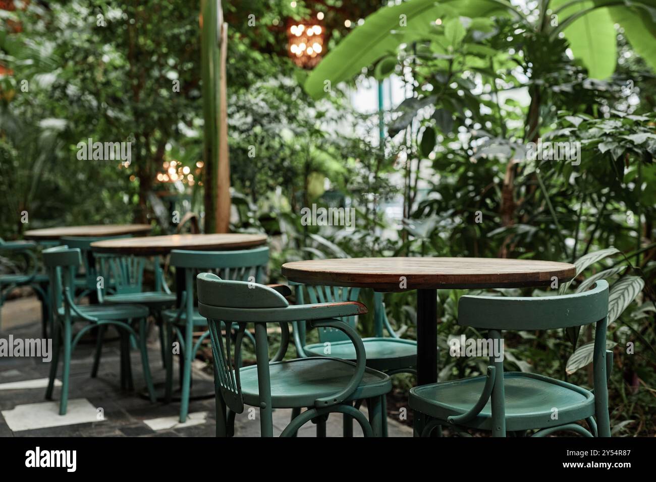 Table et chaises en bois dans un café vide avec un grand nombre de plantes Banque D'Images