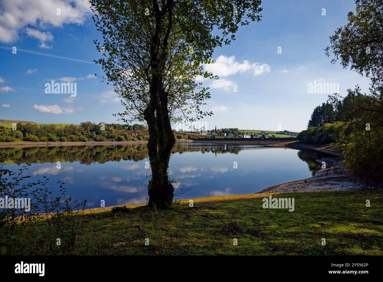 Un arbre se dresse sur la ligne de flottaison du réservoir Wayoh avec le village d'Edgworth en arrière-plan, Blackburn, Lancashire. Banque D'Images
