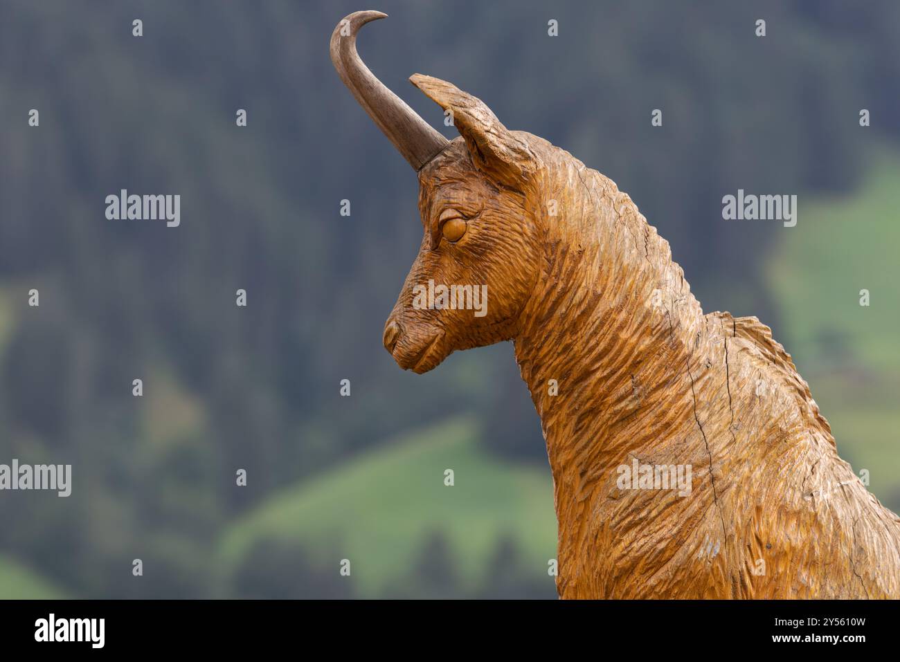 Sculpture sur bois de chamois (Rupicapra rupicapra) Suisse août 2024 Banque D'Images