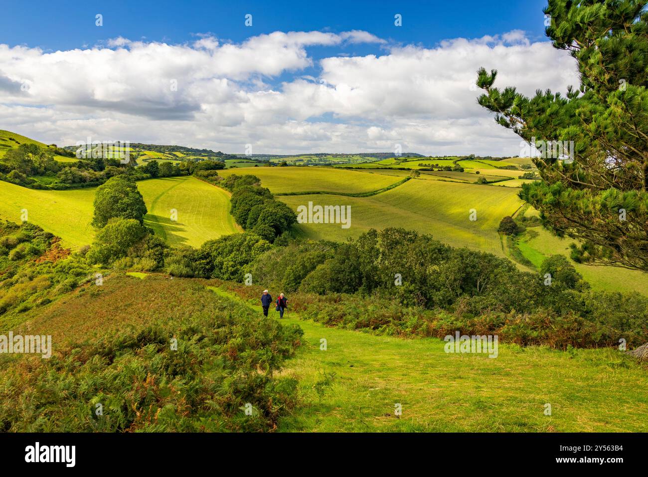 Deux marcheurs grimpant Colmer's Hill au-dessus du village de Symondsbury, NR Bridport, Dorset, Angleterre, Royaume-Uni Banque D'Images