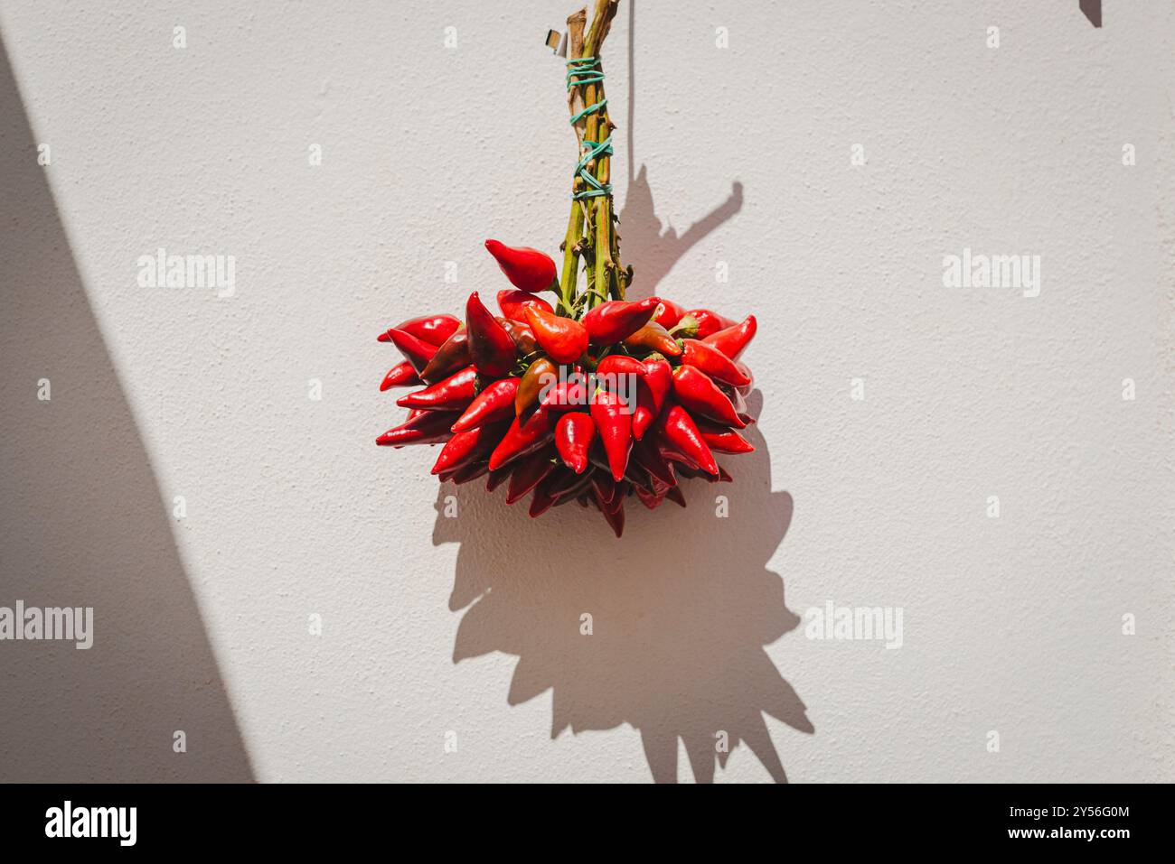 Piments rouges frais des Pouilles, dans le sud de l'Italie. Banque D'Images