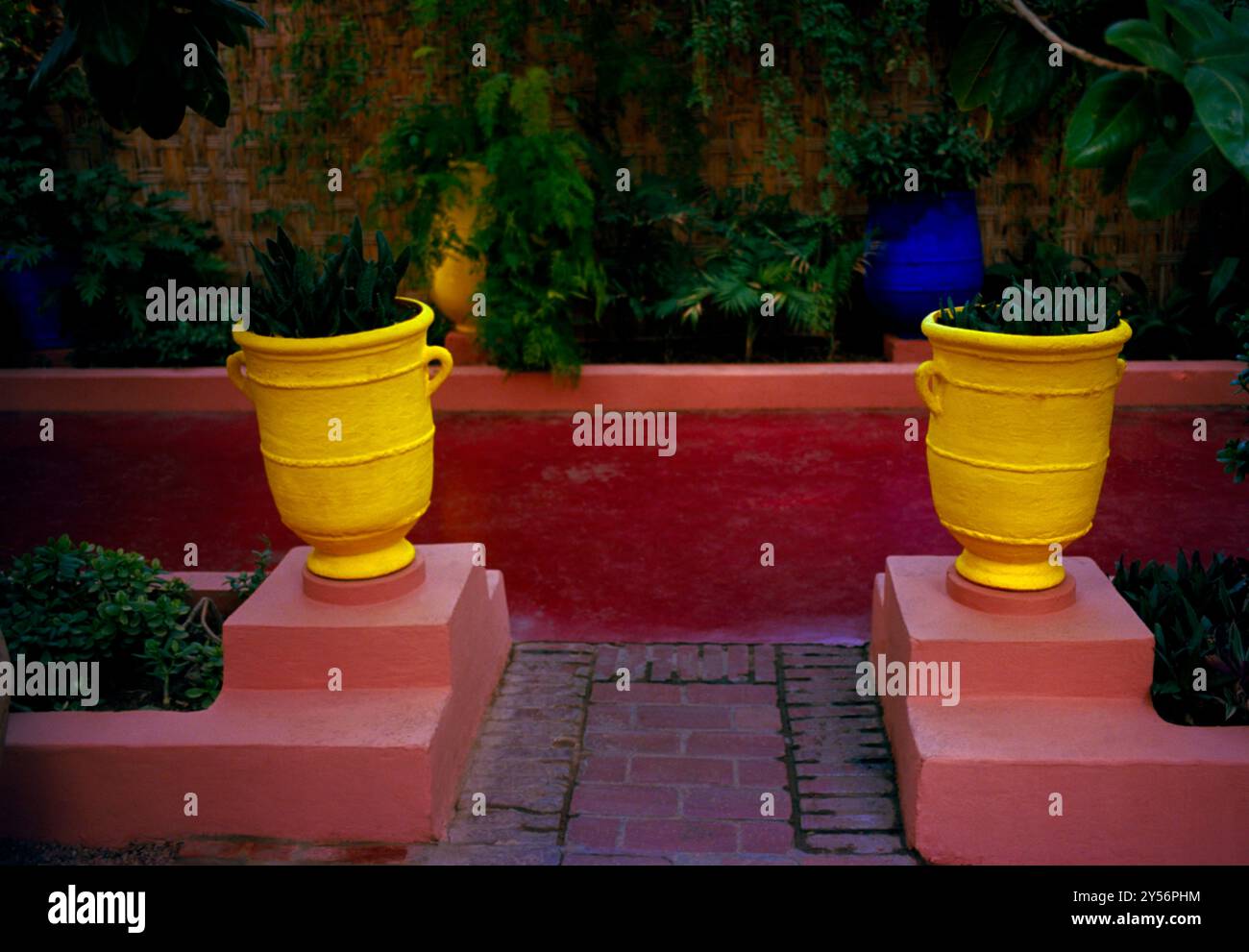 La maison du couturier Yves Saint Laurent. Le jardin Majorelle à Marrakech au Maroc au Maghreb en Afrique du Nord. Banque D'Images