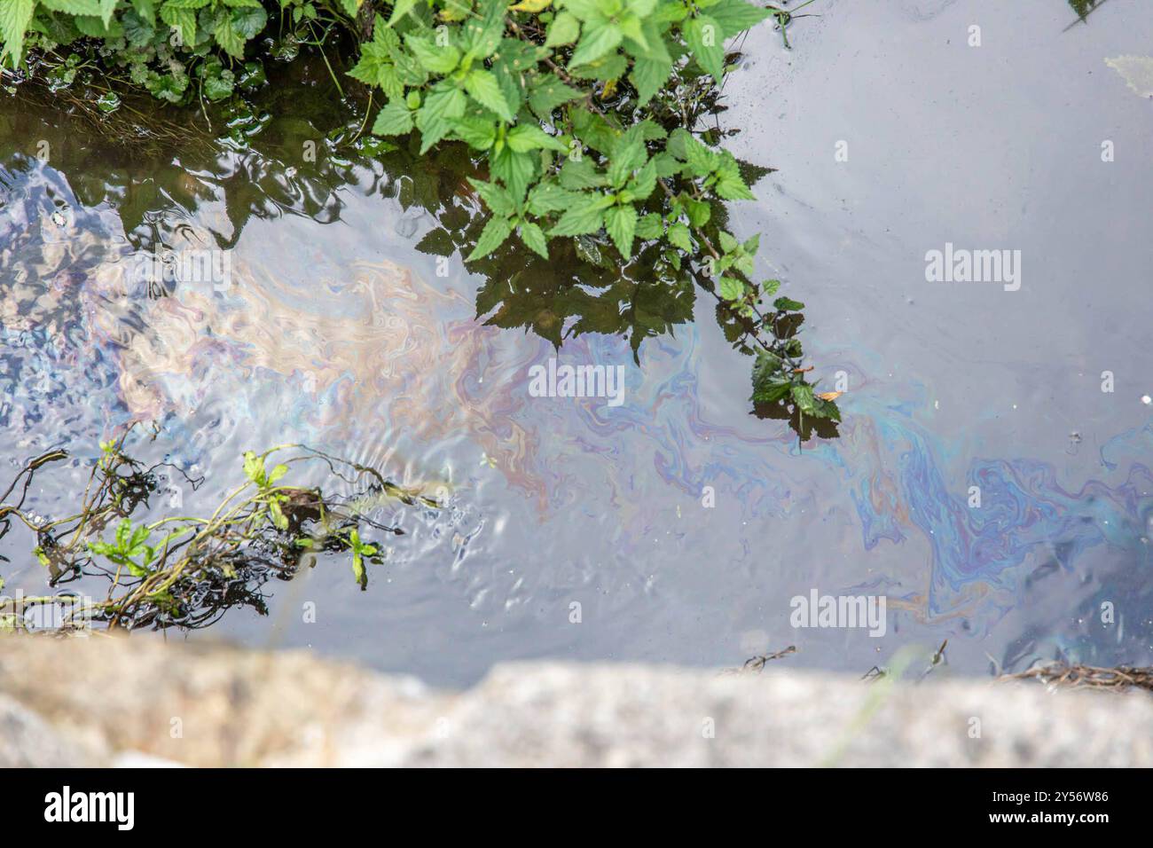 240920Verunreinigung nouvelles ID : en 2024-09-20 Verunreinigung in Bach Feuerwehr setzt Ölsperren im Bach aus Zwönitz. In der Stadt mussten die Kameraden am Freitagnachmittag gegen 15:40 Uhr zu einer Verunreinigung in dem Kühnhaider Bach auf der Dreirosengasse ausrücken. Anwohner bemerkten einen starken Ölfilm in dem Bach und verständigten die Feuerwehr. Da es an dem Bachlauf stark nach Öl roch, wird vermutet, dass es sich BEI der noch unklaren Flüssigkeit, um Öl halten könnte. Die Feuerwehr setzte zwei Ölsperren in dem Bach aus, um eine weitere Ausbreitung zu verhindern. Zudem wurden Bioversal und Banque D'Images