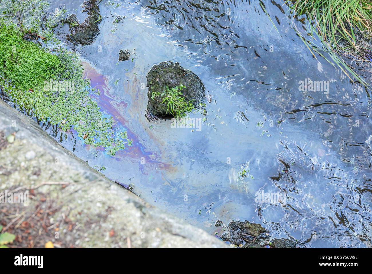 240920Verunreinigung nouvelles ID : en 2024-09-20 Verunreinigung in Bach Feuerwehr setzt Ölsperren im Bach aus Zwönitz. In der Stadt mussten die Kameraden am Freitagnachmittag gegen 15:40 Uhr zu einer Verunreinigung in dem Kühnhaider Bach auf der Dreirosengasse ausrücken. Anwohner bemerkten einen starken Ölfilm in dem Bach und verständigten die Feuerwehr. Da es an dem Bachlauf stark nach Öl roch, wird vermutet, dass es sich BEI der noch unklaren Flüssigkeit, um Öl halten könnte. Die Feuerwehr setzte zwei Ölsperren in dem Bach aus, um eine weitere Ausbreitung zu verhindern. Zudem wurden Bioversal und Banque D'Images