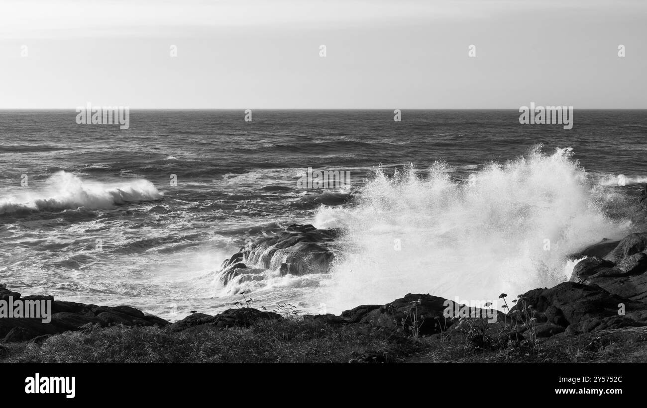 Vagues s'écrasant contre les rochers le long de la côte de l'Oregon, Oregon, États-Unis Banque D'Images