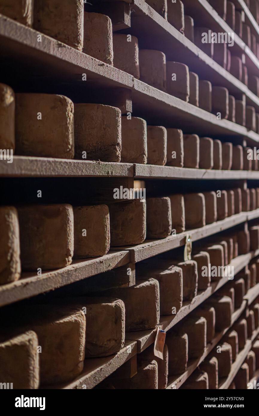 Castelmagno, le roi des fromages, vieillit tranquillement dans ses caves. Banque D'Images