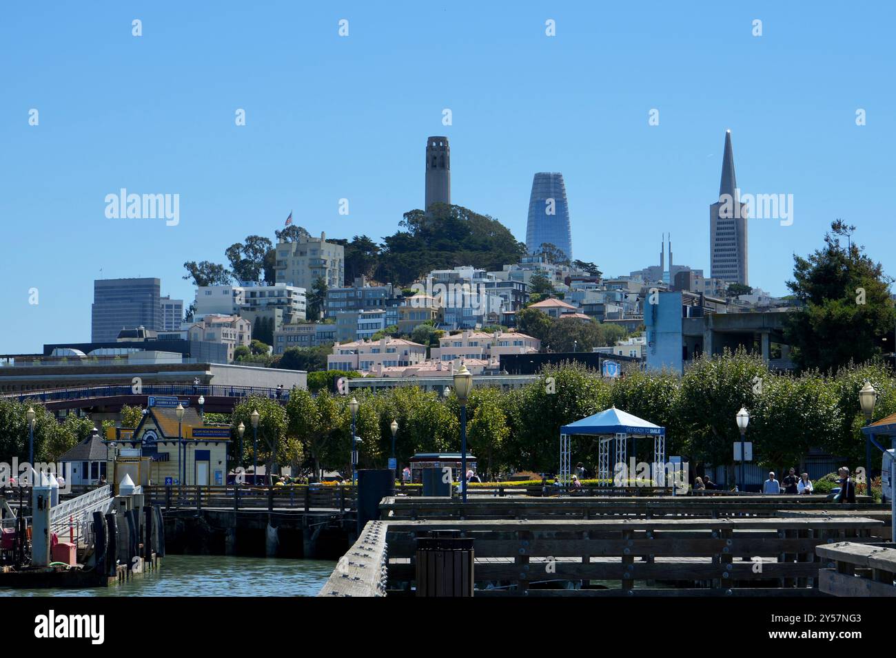 Tour Coit et autres bâtiments sur Telegraph Hill, vus de l'Embarcadero. Banque D'Images