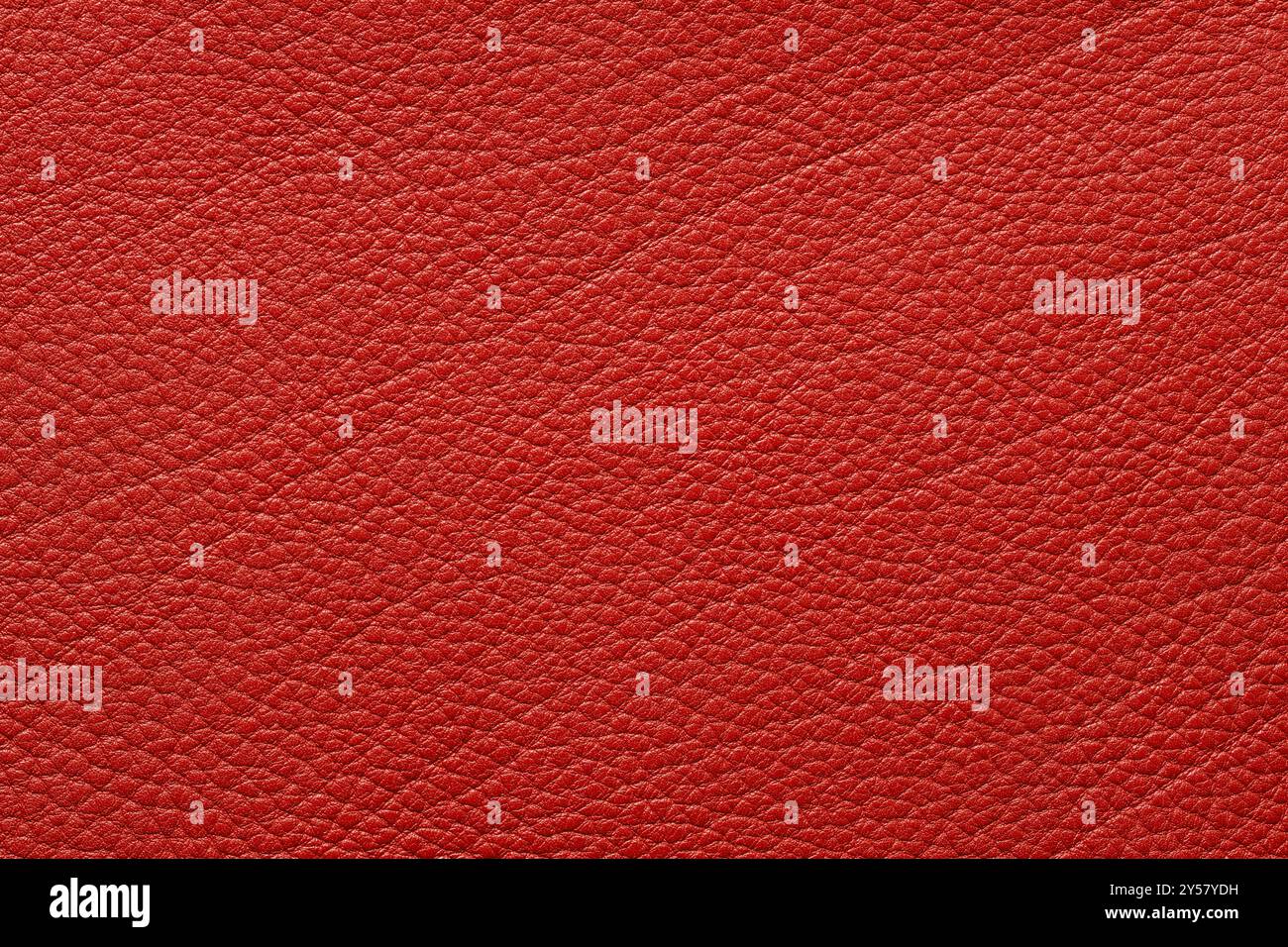 texture en cuir rouge avec impression naturelle, fond abstrait de matière naturelle Banque D'Images