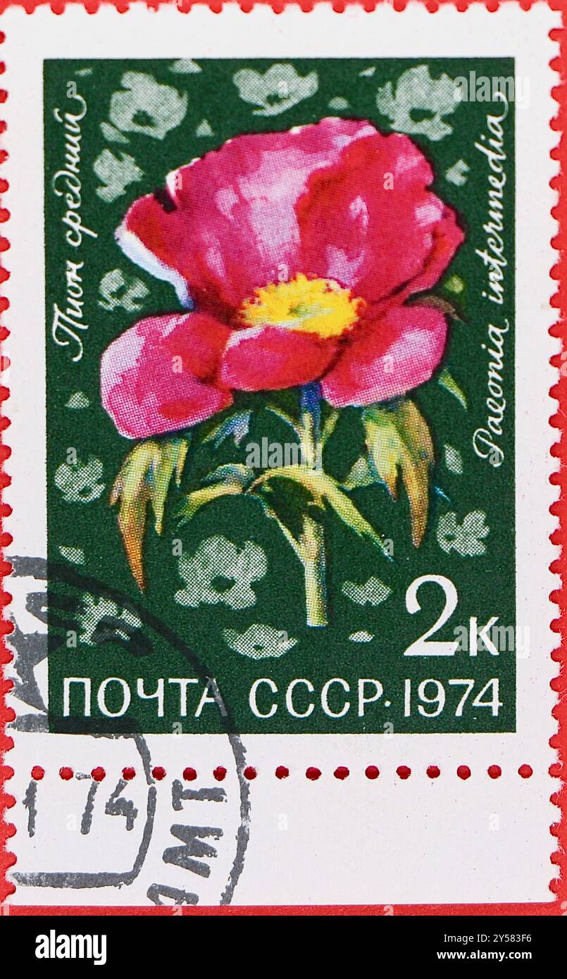 Photo d'un timbre-poste russe à 2 kopek avec une illustration d'une fleur de pivoine Paeonia intermedia fleurs des prairies alpines d'Asie centrale 1974 Banque D'Images