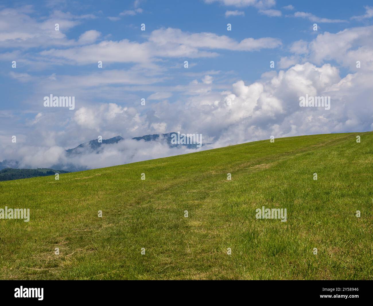 Un paysage avec une route de champ. Au premier plan, un pré avant la fenaison. Au loin, vous pouvez voir un sommet de montagne entouré de nuages Zilina R. Banque D'Images