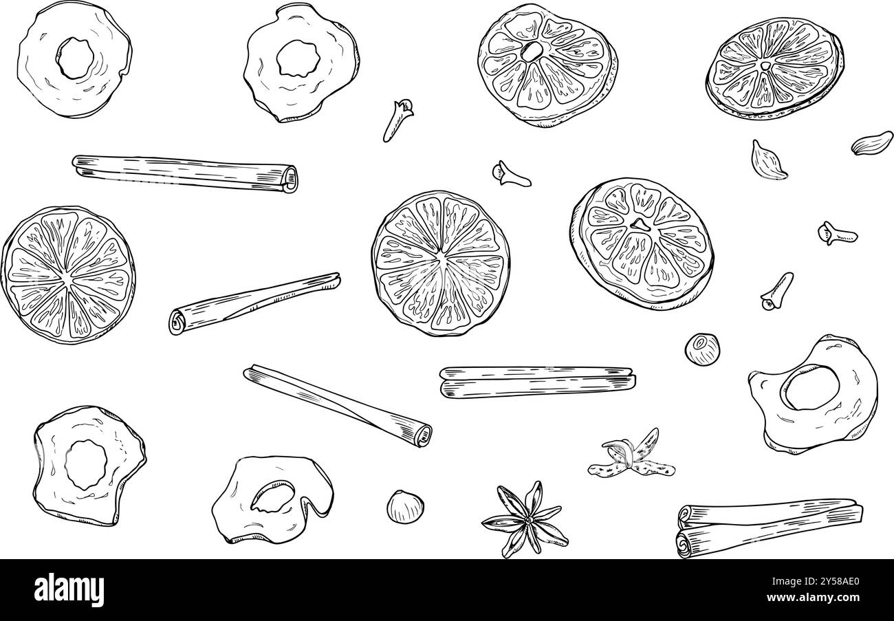 Tranches d'orange, pomme, bâtonnets de cannelle, clous de girofle, badian, et poivre grains vecteur d'épices d'hiver ensemble d'illustration isolé. Ingrédients biologiques sains Illustration de Vecteur