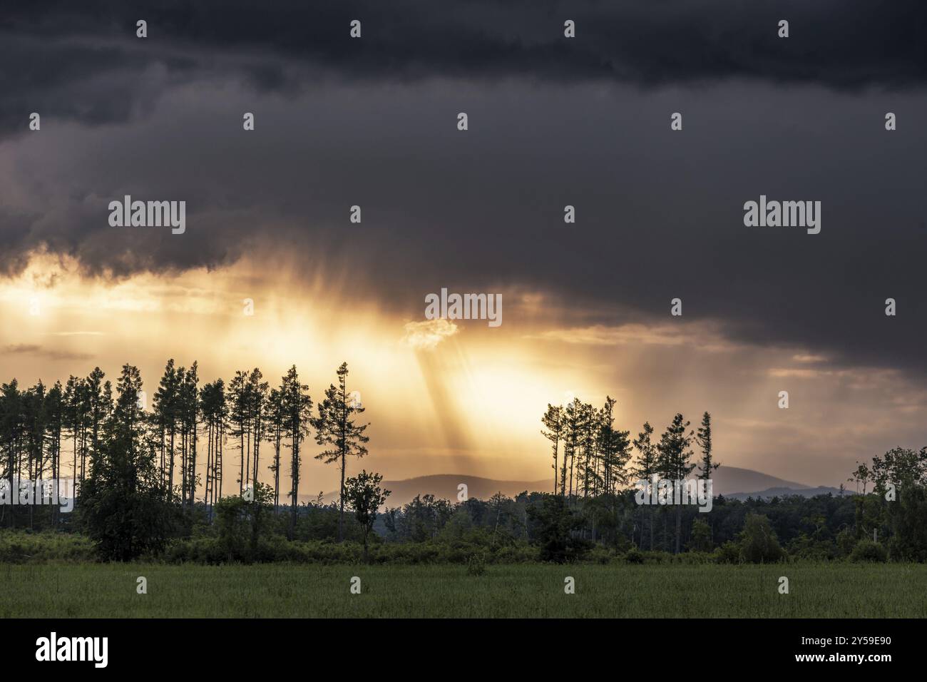 Ambiance orageuse avec vue sur le Brocken Harz Banque D'Images