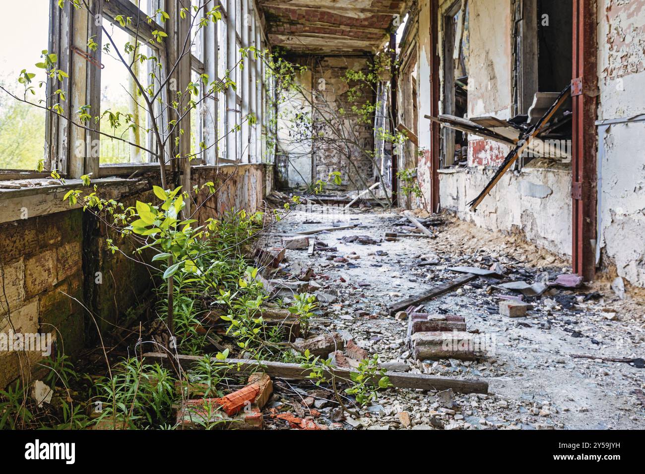 Danger pour la vie lieux perdus danger d'effondrement pas d'intrusion Banque D'Images