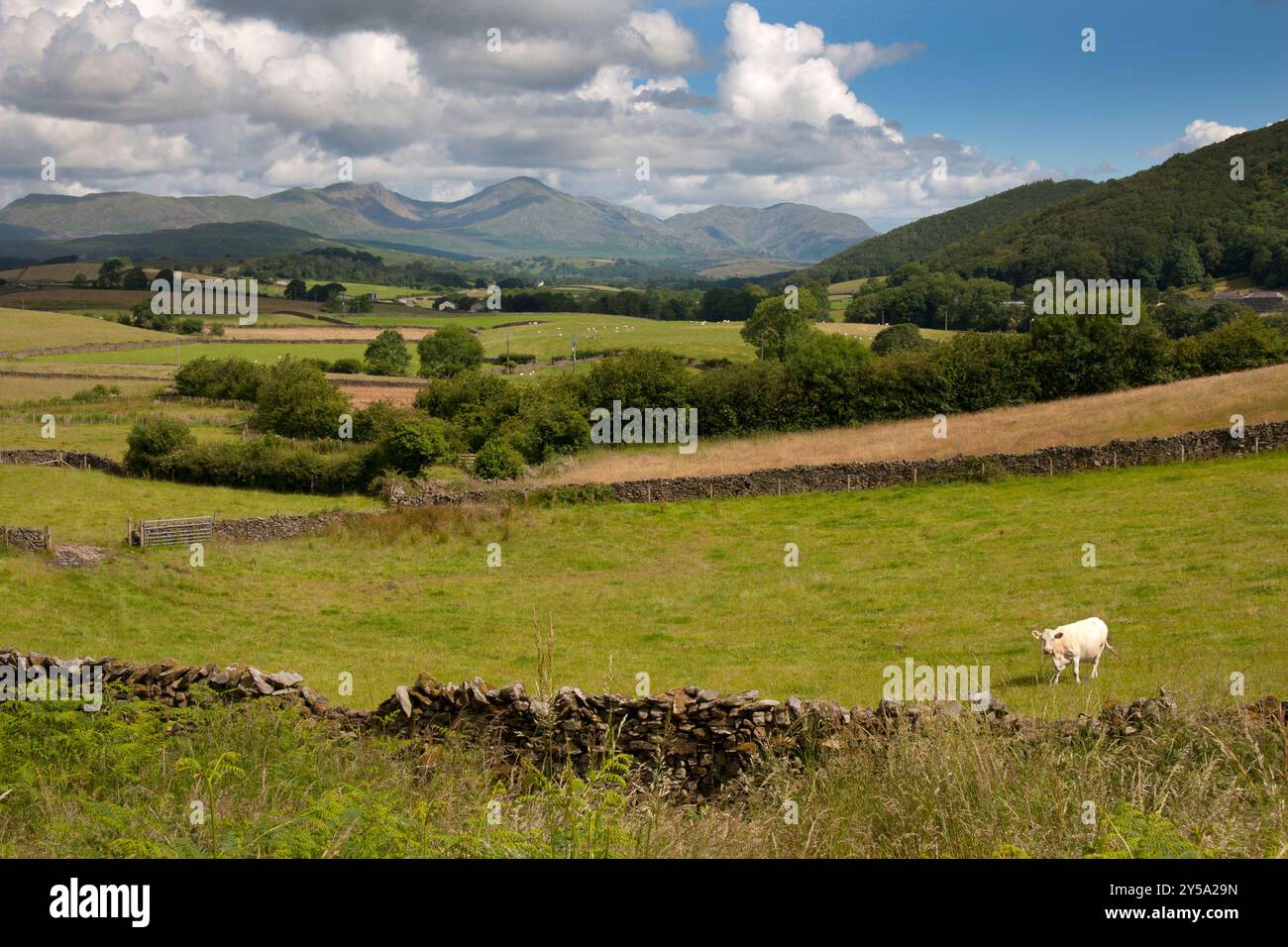 Vues sur l'A5092 de Lowick Green vers Furness Fells et Woodland Fell, Ulverston, Cumbria, Angleterre Banque D'Images