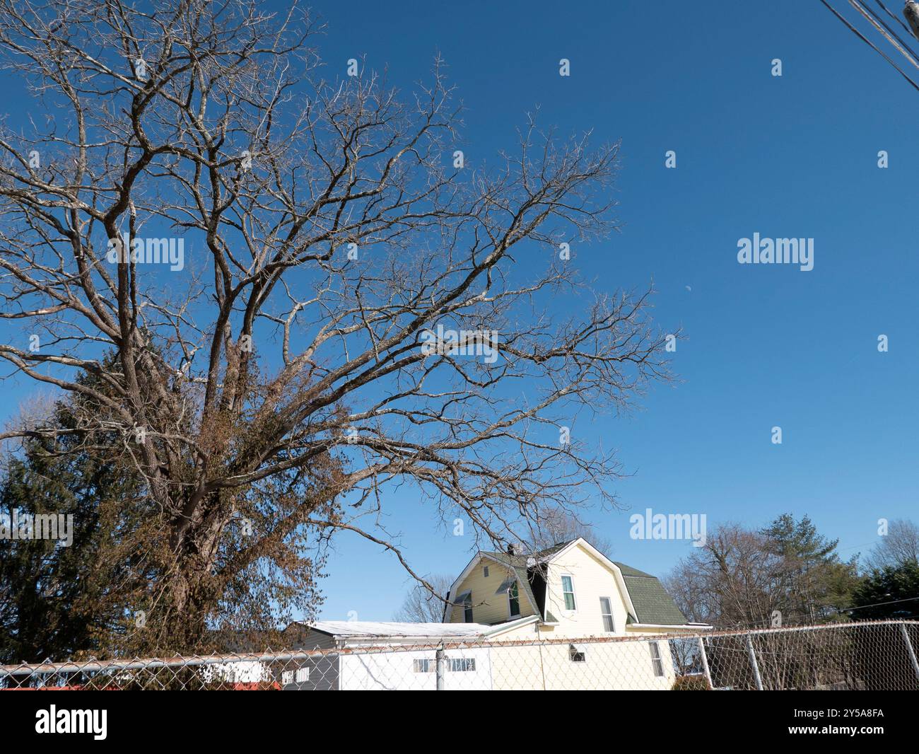 Johnson City, Tennessee, États-Unis 2024-01-17 arbre, clôture et maison. Banque D'Images