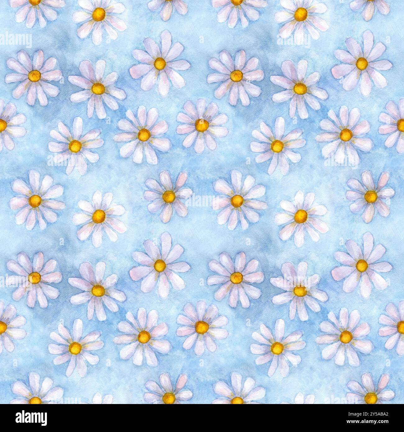 Fleurs de camomille aquarelle. Beau motif floral sans couture. Aquarelle dessinée à la main printemps été illustration botanique sur fond bleu. Imprimer Banque D'Images