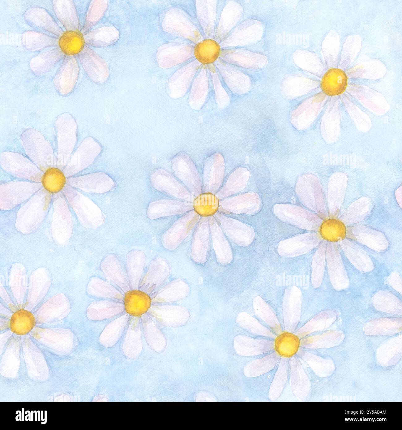 Fleurs de camomille aquarelle. Beau motif floral sans couture. Aquarelle dessinée à la main printemps été illustration botanique sur fond bleu. Imprimer Banque D'Images