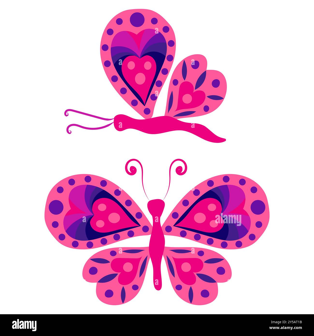 Papillon avec ailes ouvertes et ailes fermées. Illustration vectorielle isolée sur fond blanc. Illustration de Vecteur Papillon avec ailes ouvertes et ailes fermées. Illustration vectorielle isolée sur fond blanc. Illustration de Vecteur