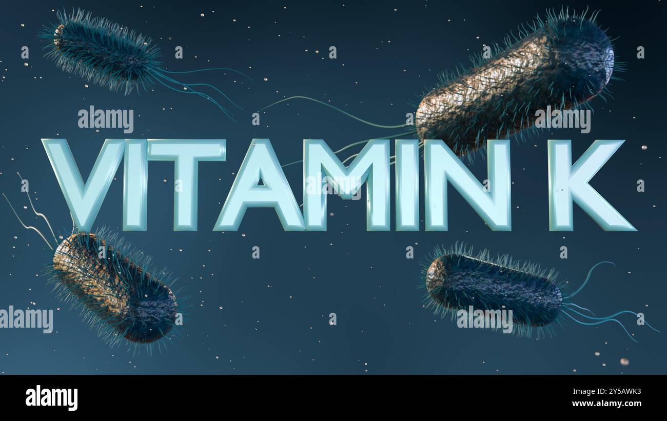 Le rendu 3d de E. coli est l'une des principales sources de vitamine K dans l'intestin humain. Banque D'Images