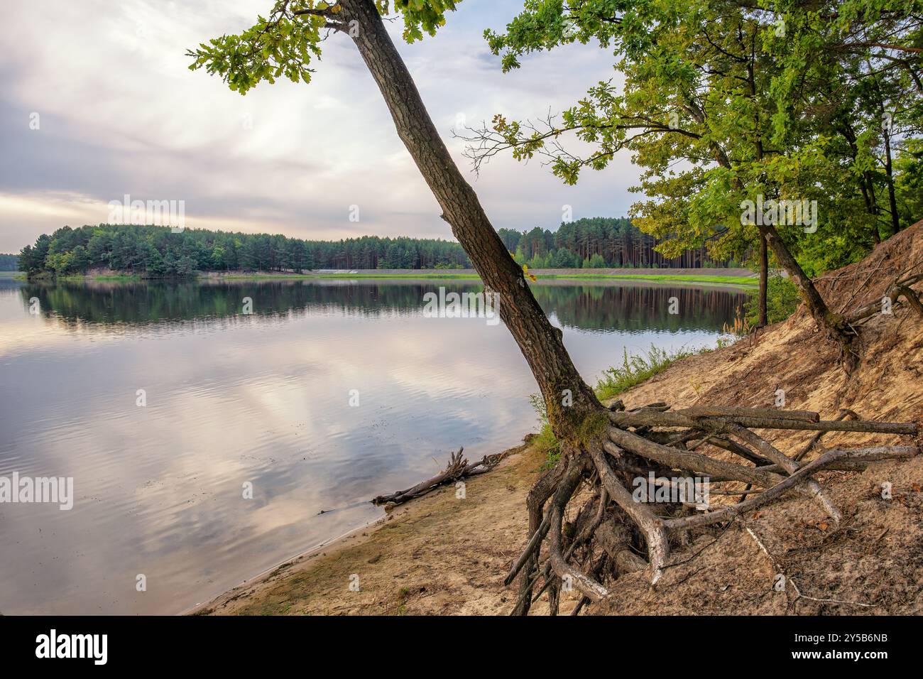 Réservoir d'eau à Wilcza Wola, Pologne, Europe Banque D'Images