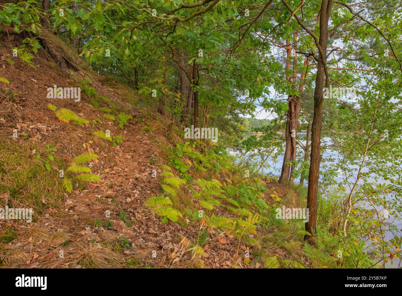 Parcours éducatif et récréatif autour du réservoir à Wilcza Wola, Pologne, Europe Banque D'Images