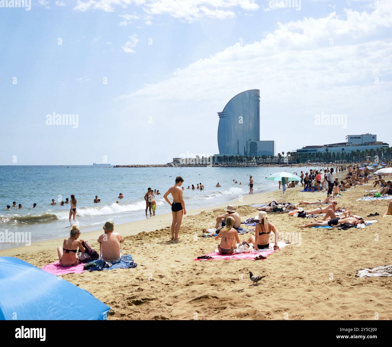 Plage de Barcelone, Catalogne, Espagne, Europe. Banque D'Images