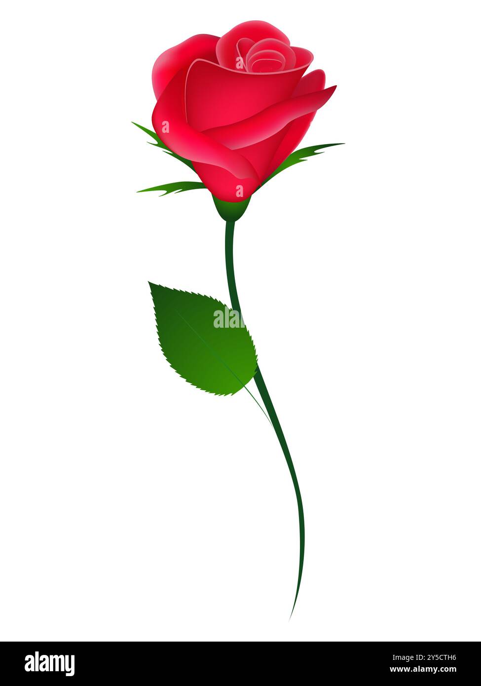 Rose rouge sur élément de fond blanc pour la conception. Illustration de Vecteur