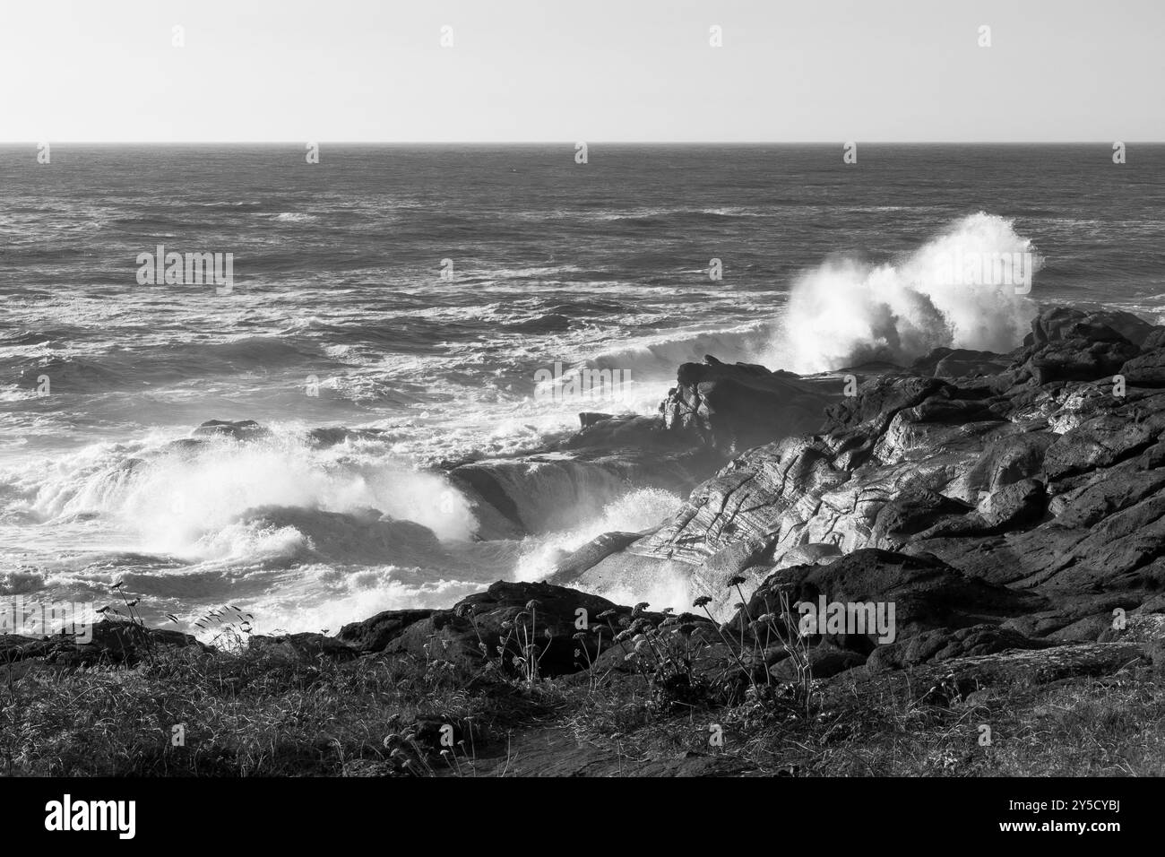 Waves Crashing on Rocks, Boiler Bay State Park, Oregon Coast, États-Unis Banque D'Images
