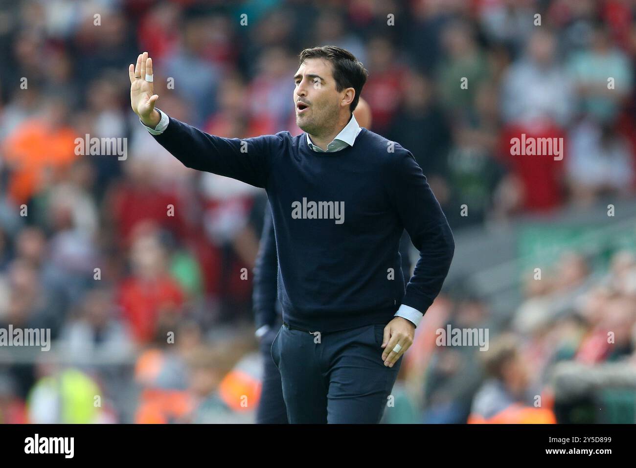 Liverpool, Royaume-Uni. 21 septembre 2024. Andoni Iraola, le directeur de Bournemouth crie des instructions. Premier League match, Liverpool contre Bournemouth à Anfield à Liverpool le samedi 21 septembre 2024. Cette image ne peut être utilisée qu'à des fins éditoriales. Usage éditorial exclusif. photo par Chris Stading/Andrew Orchard photographie sportive/Alamy Live News crédit : Andrew Orchard photographie sportive/Alamy Live News Banque D'Images