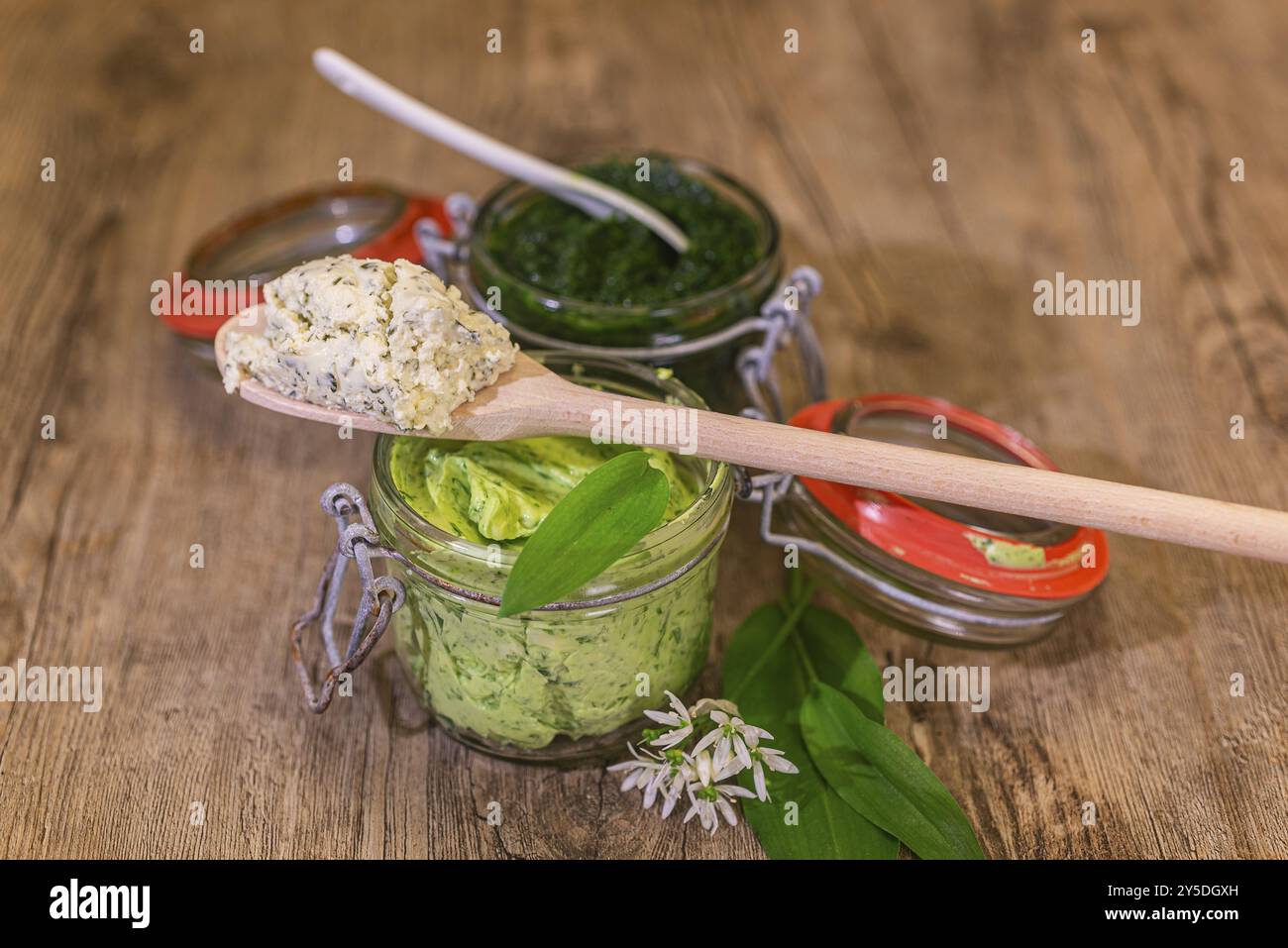 Divers produits à l'ail sauvage, pesto à l'ail sauvage, beurre à l'ail sauvage, fromage blanc à l'ail sauvage, fromage à la crème à l'ail sauvage avec de l'ail frais sauvage Banque D'Images