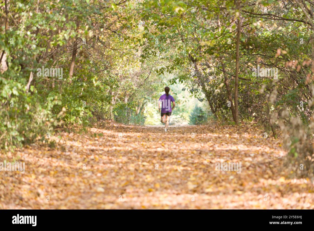 Femme coureuse s'enfuit le long du chemin couvert de feuilles dans les bois Banque D'Images