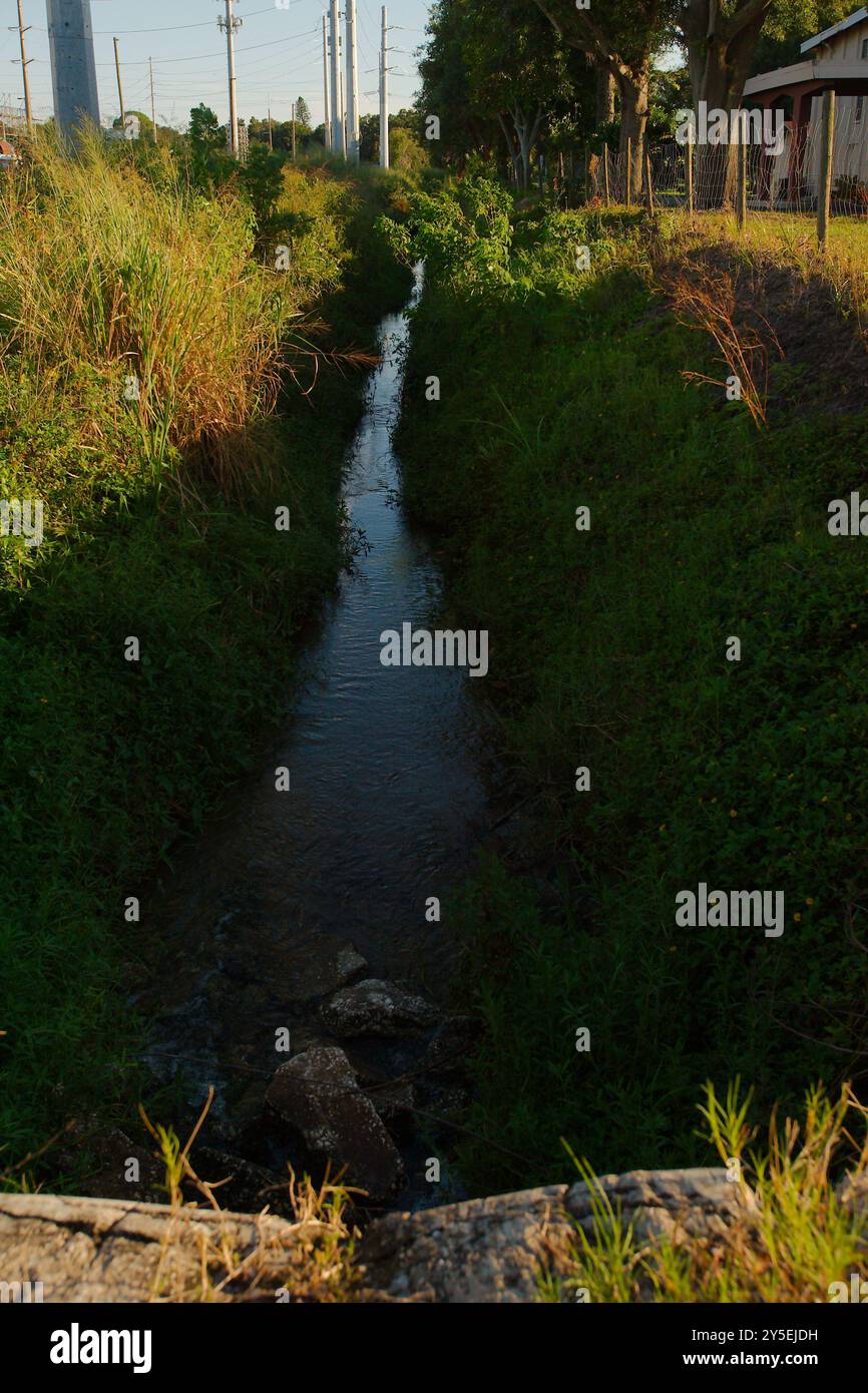 Vue verticale lignes directrices vers le bas vent soufflant de l'herbe tandis que l'eau coule le long d'un fossé de drainage d'herbe hors d'un tuyau de ponceau métallique avec de l'herbe verte sur le Banque D'Images