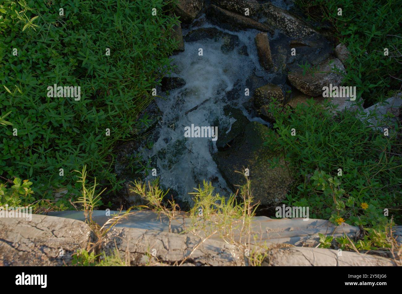 Vue de dessus vers le bas vent soufflant de l'herbe tandis que l'eau coule hors d'un tuyau de ponceau métallique avec de l'herbe verte sur les côtés dans un jet d'eau qui coule sur un soleil Banque D'Images