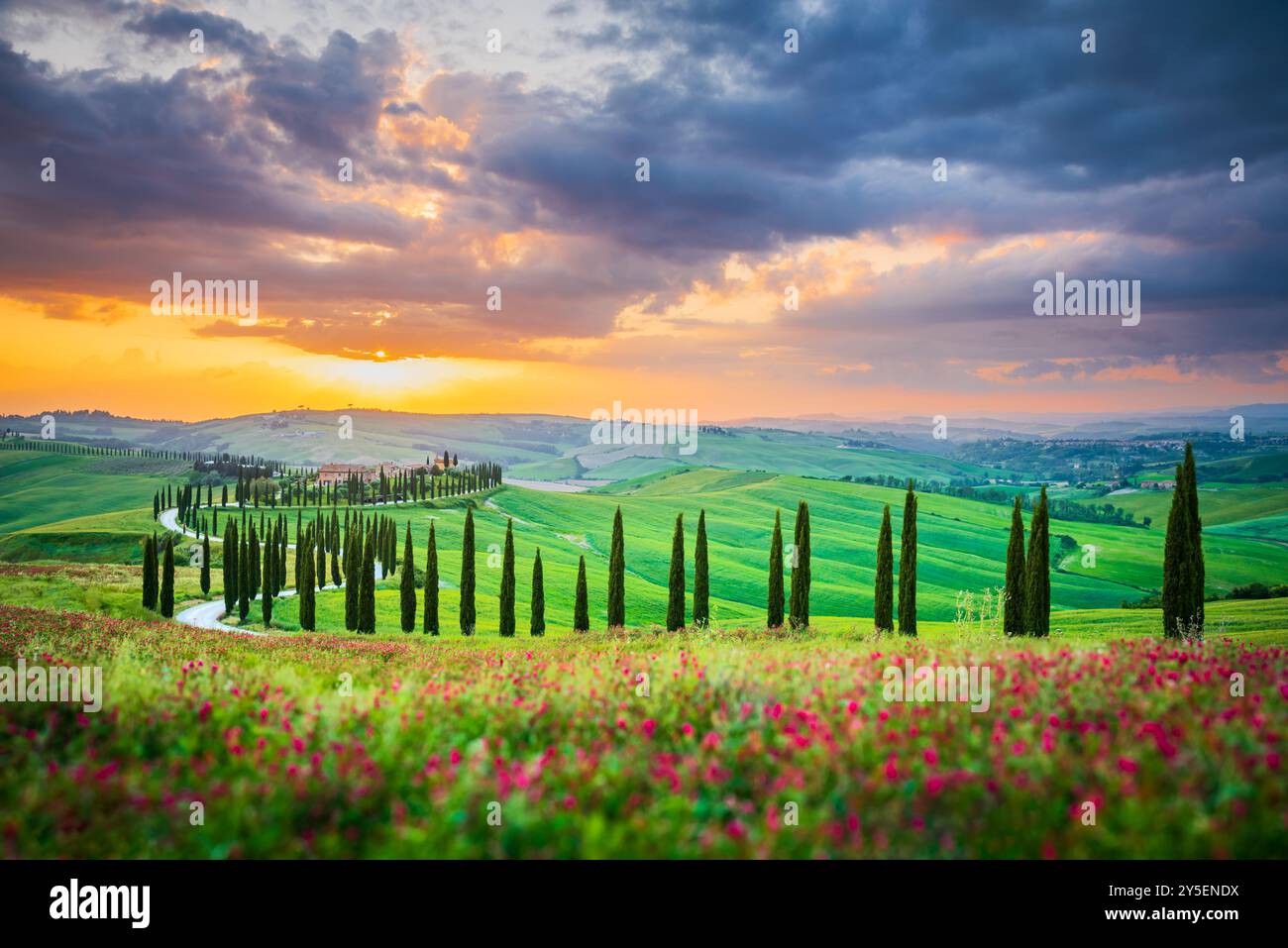 Toscane, Italie. Crete Senesi, coucher de soleil Asciano, paysage toscan emblématique, rangées de cyprès au printemps, coucher de soleil couleur nature dans Val D'Orcia Banque D'Images