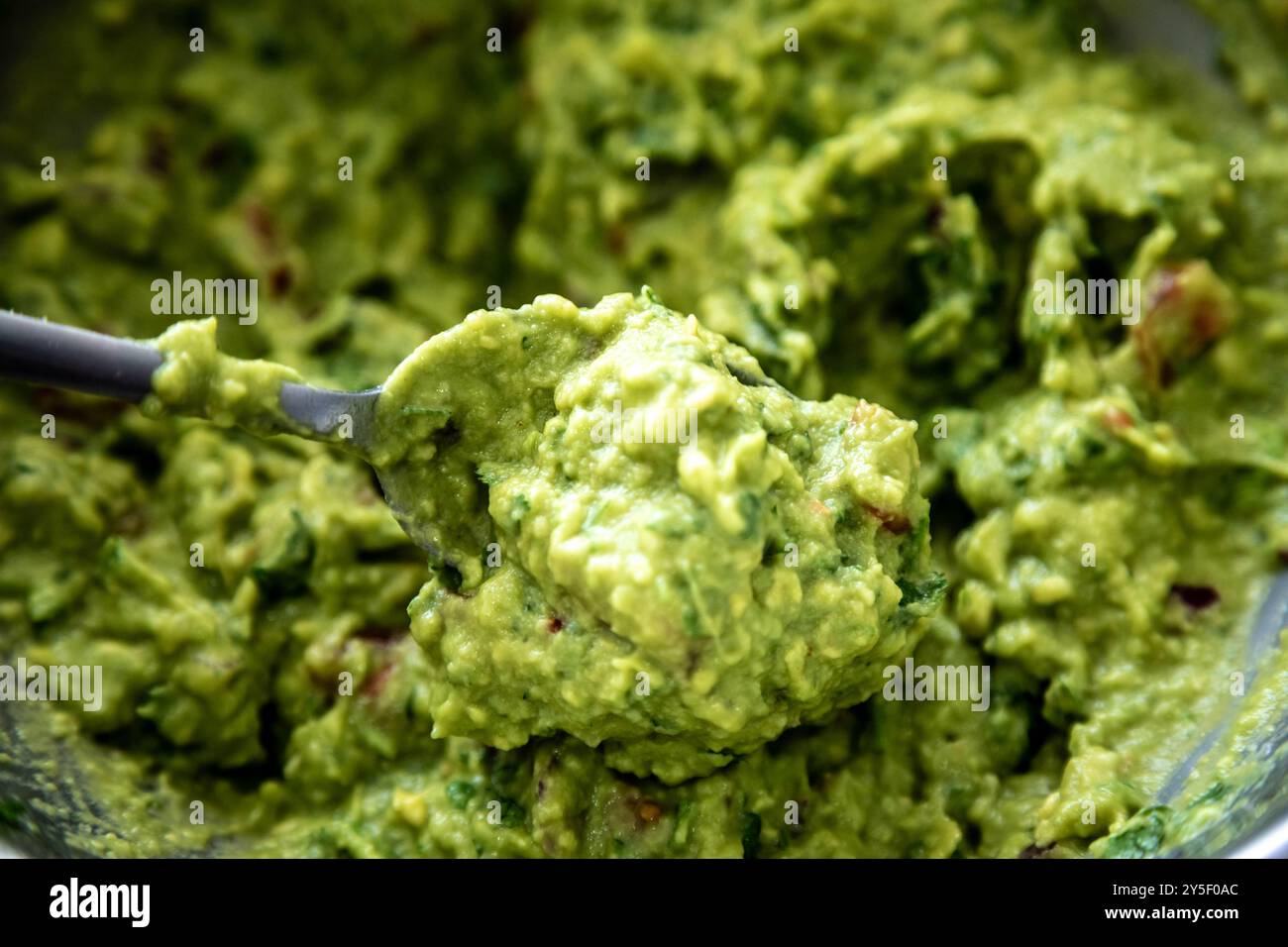 Guacamole à l'avocat traditionnel et assaisonnements classiques avec des nachos tortilla de maïs Banque D'Images