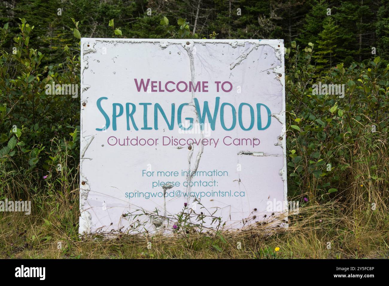 Bienvenue au panneau Springwood sur NL 90 à Holyrood, Terre-Neuve-et-Labrador, Canada Banque D'Images