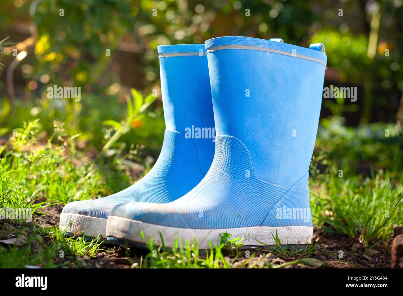 Paire de bottes en caoutchouc bleu debout sur la terre avec de l'herbe verte et des plantes. Banque D'Images